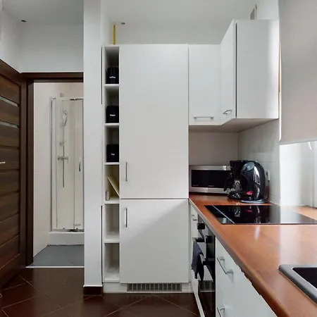 Fibra Doppio Apartman Rybnik