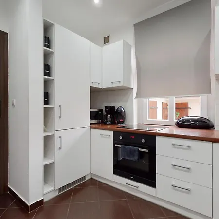 Fibra Doppio Apartmán Rybnik (Silesia)