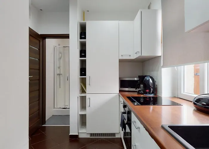 Fibra Doppio Apartman Rybnik