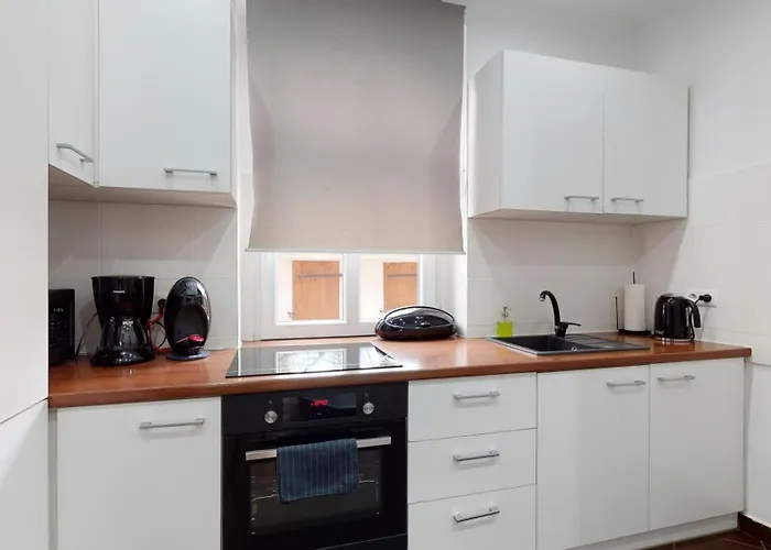 Apartmán Fibra Doppio Rybnik (Silesia)